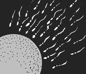 Selfless egg and sperm